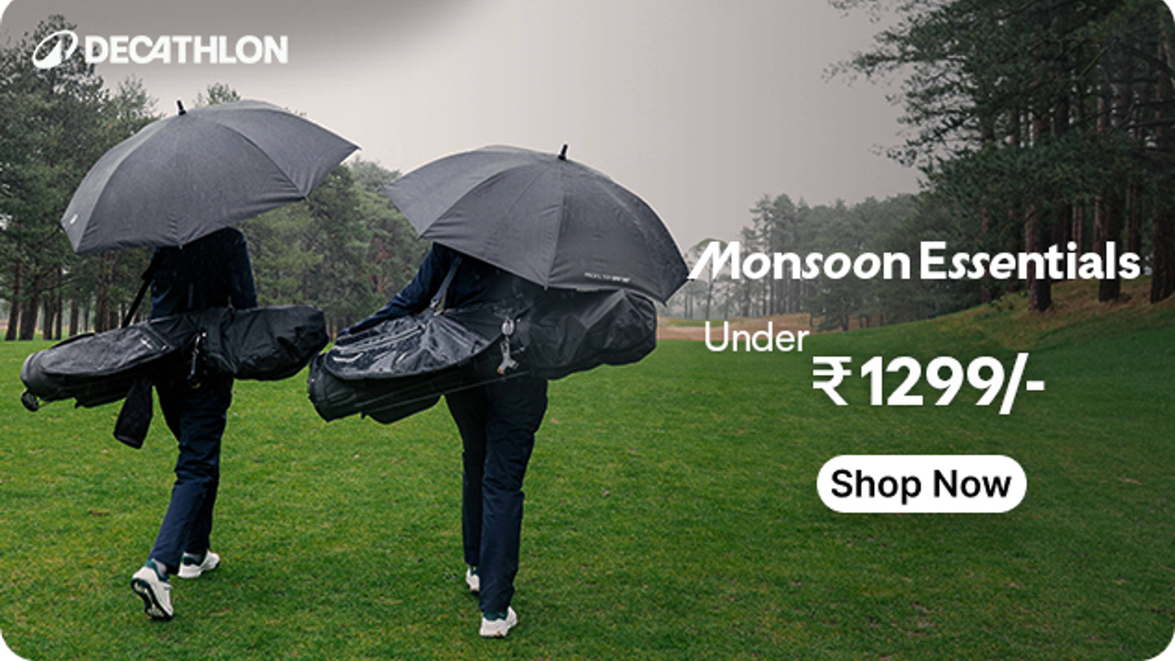 Umbrellas Collections