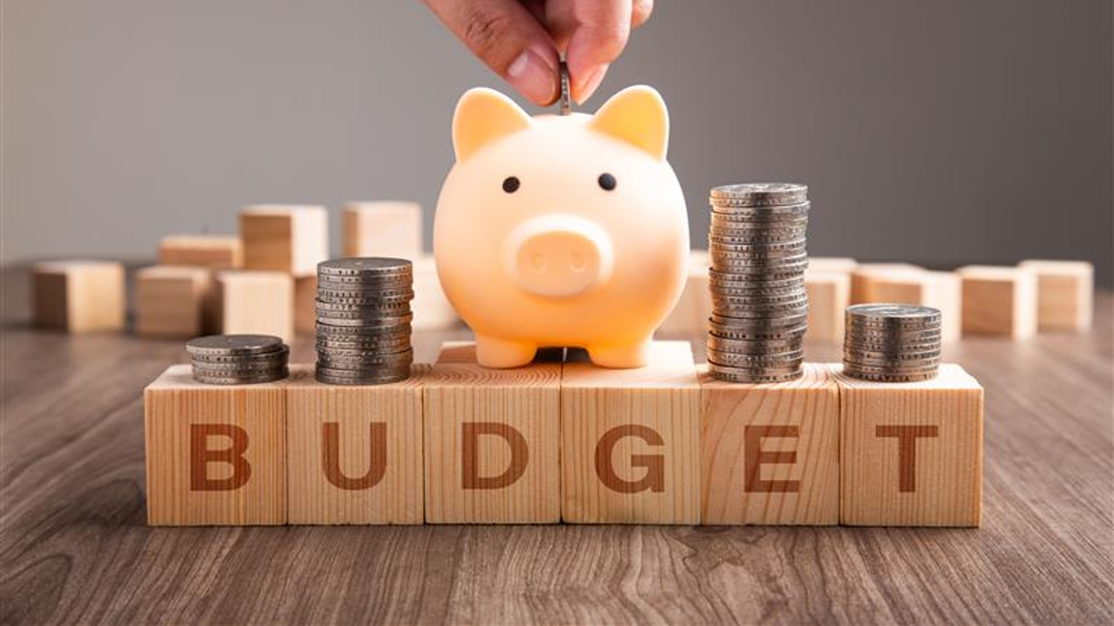Budget word written on wood block. 