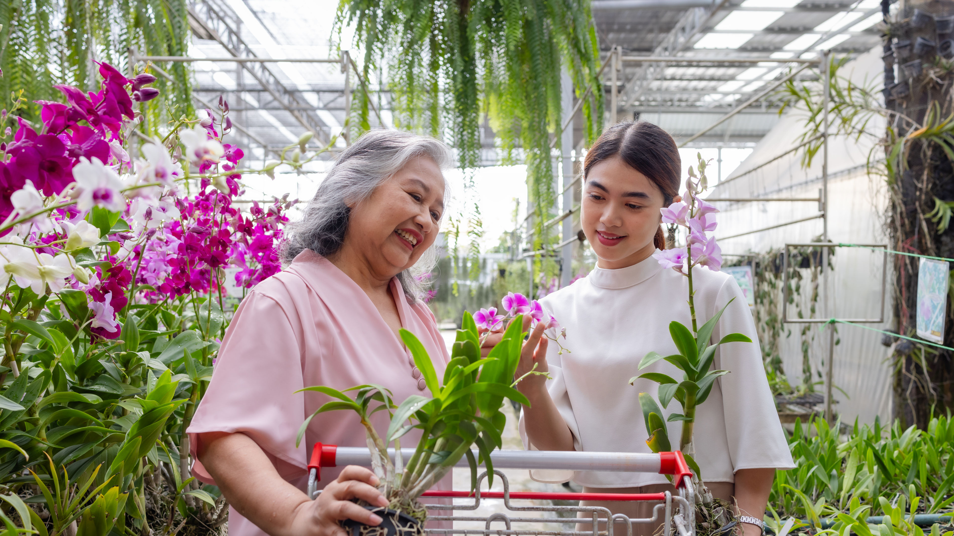 Two ladies looking at a flower 