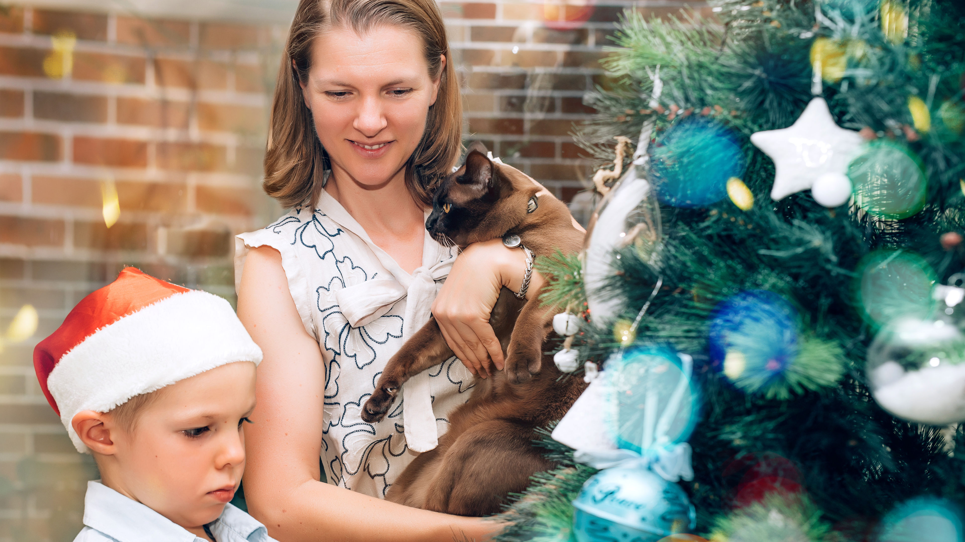A mother and her child decorating their home with their playful cat nearby. 
