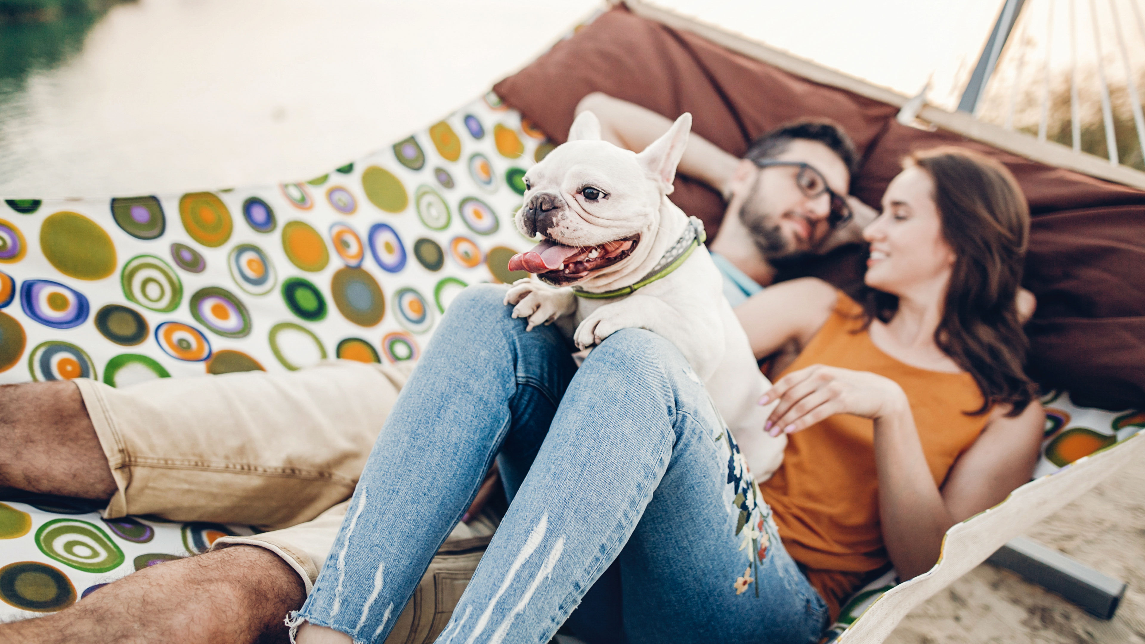 Cute dog smiling on a trip with its owners. 
