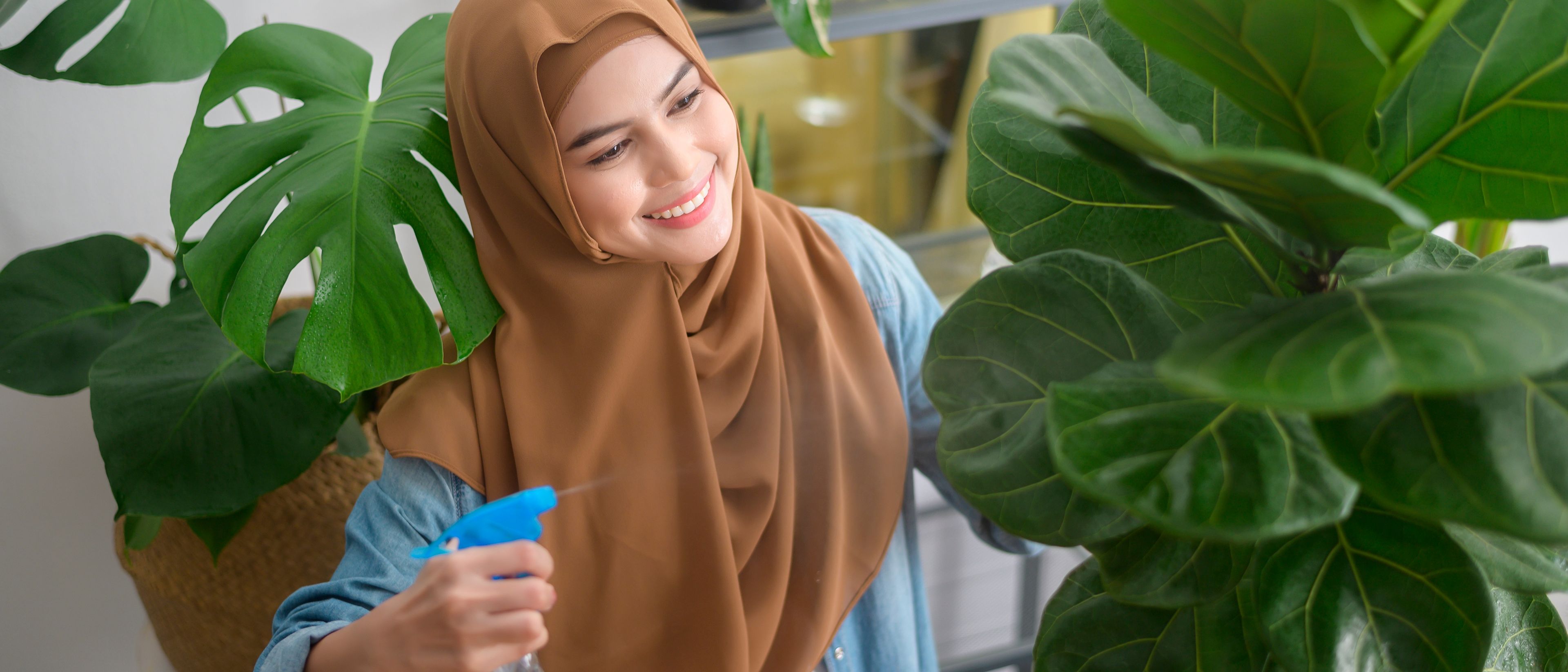 woman watering the plant