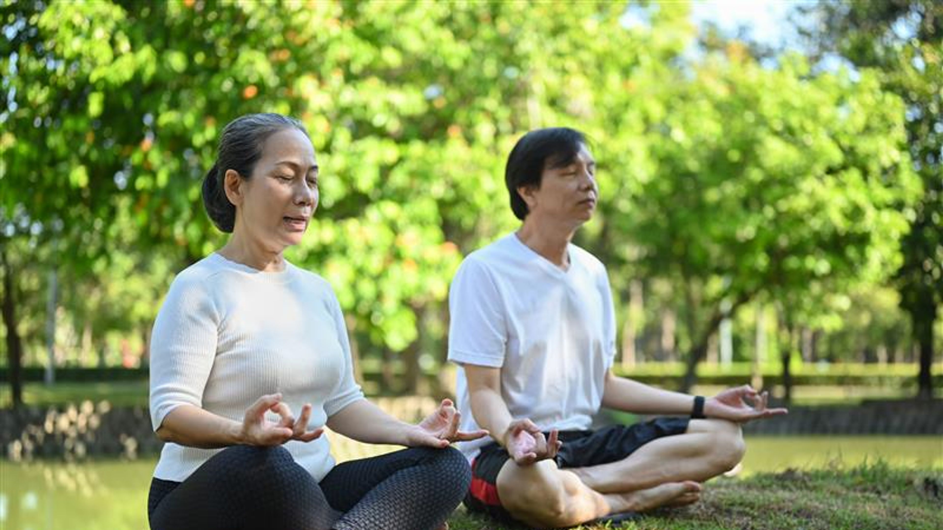 Two people doing yoga 