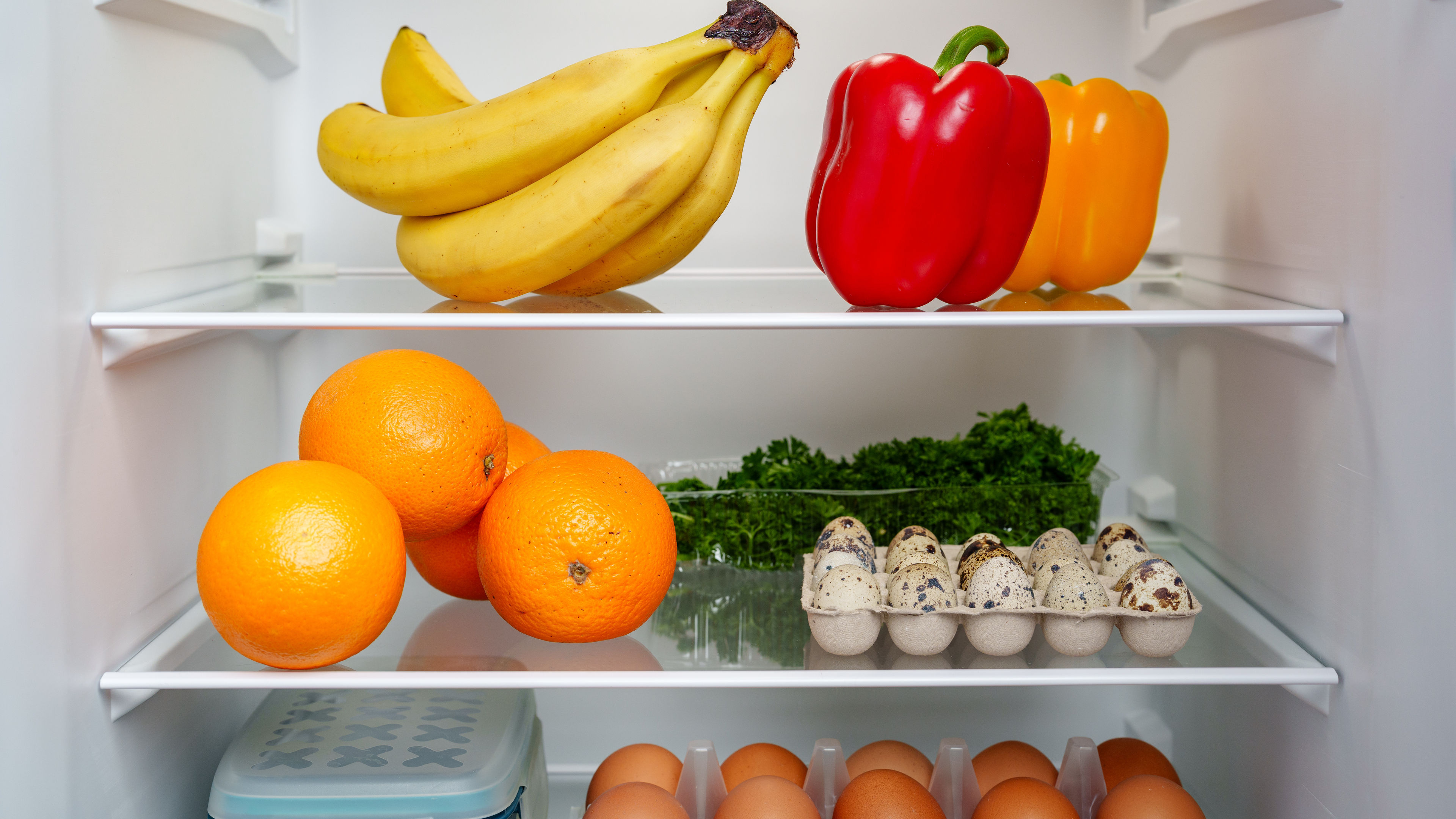 Well-stocked refrigerator 
