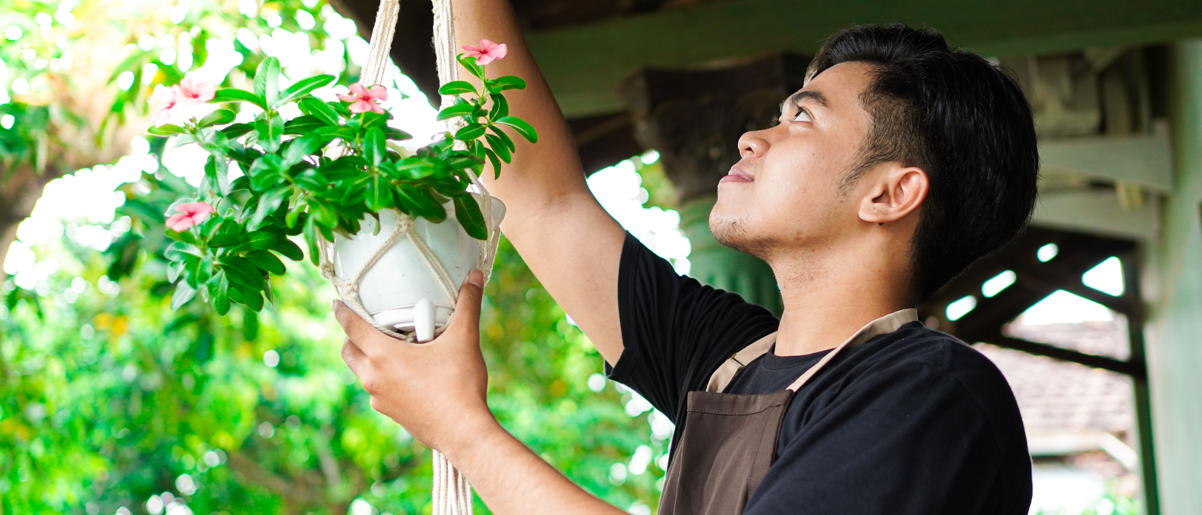 Man hanging plant pot