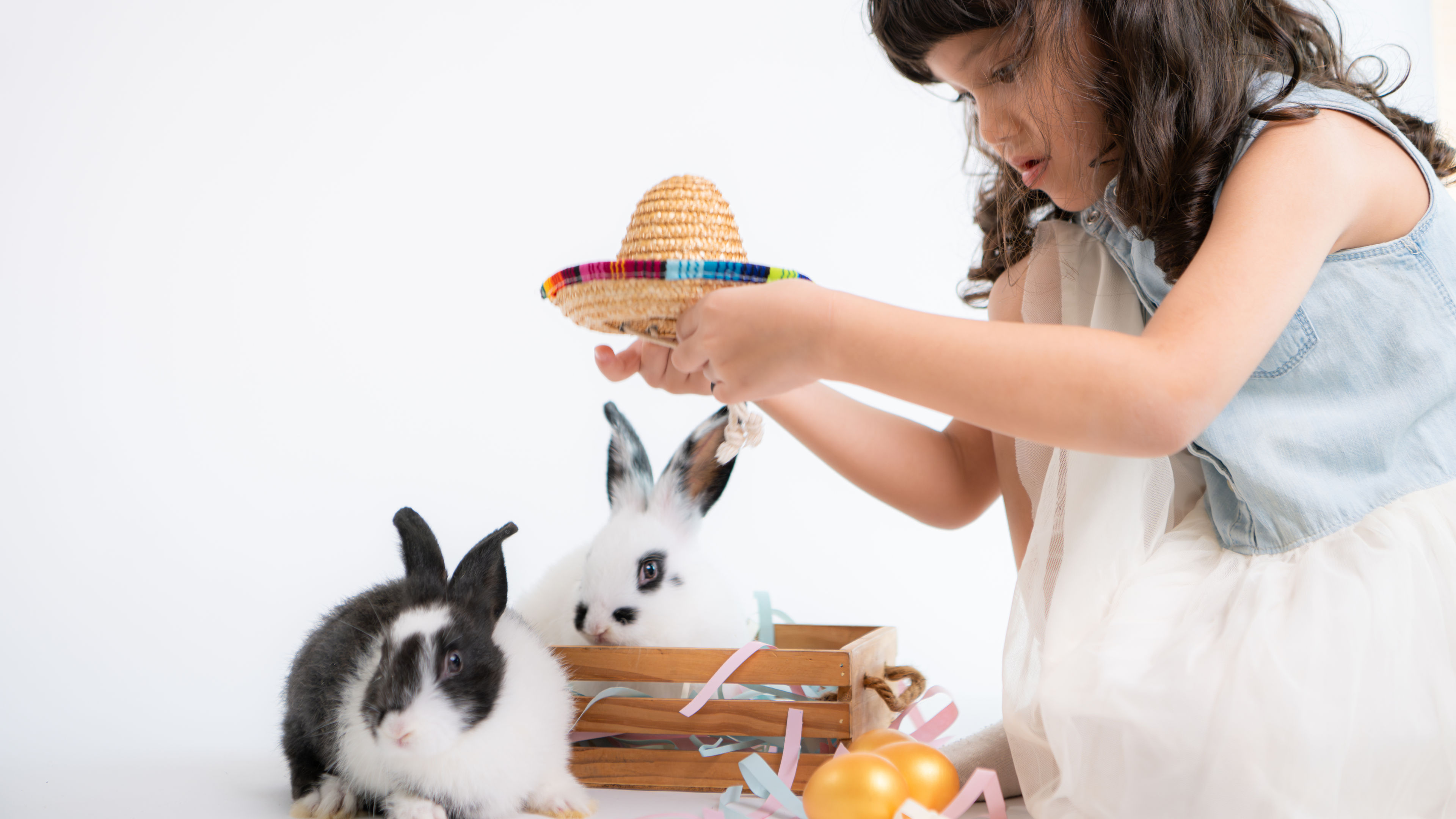 A young girl carefully places a tiny straw hat on a rabbit 