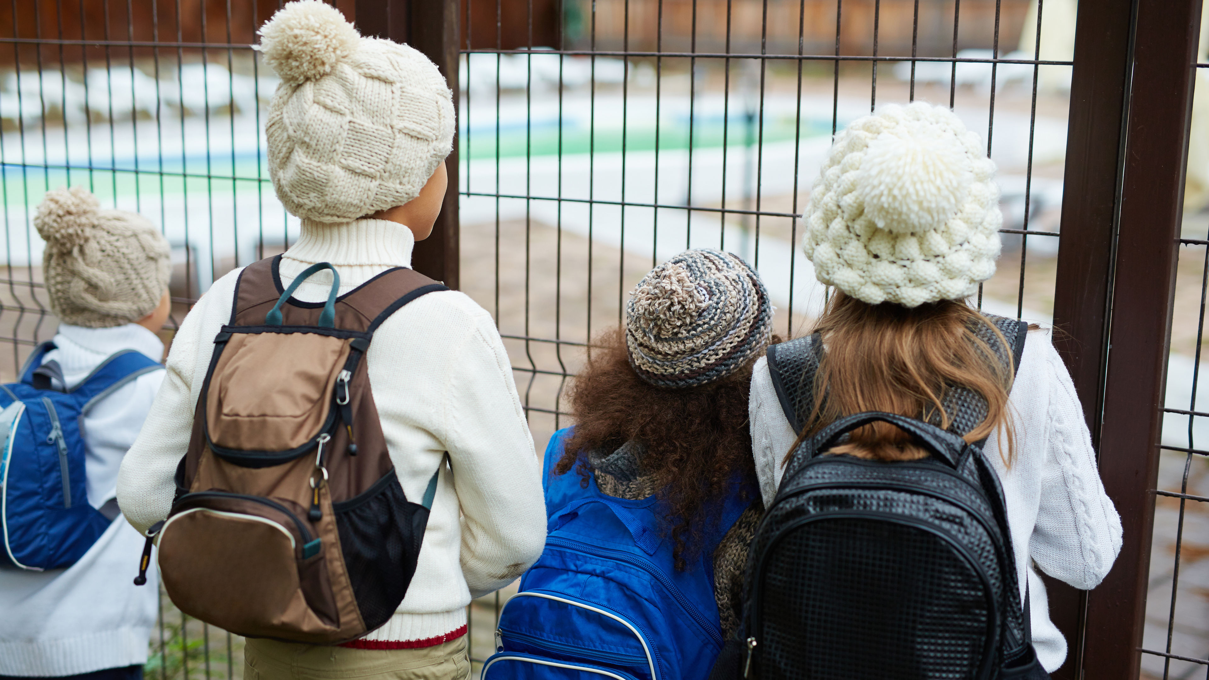 Children in warm clothing observe animals through a fence 